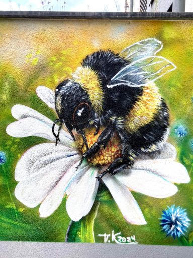 Wandgestaltung Graffiti realistische Biene auf Blüte in Essen
