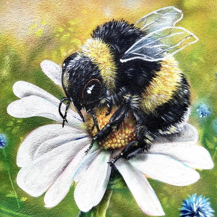 Graffiti Wandgestaltung Leistungen: Motiv mit Biene Graffiti-Wandbild einer realistischen Biene auf einer weißen Blüte
